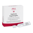 Euphrasia Augentropfen