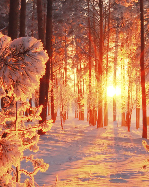 Produktempfehlungswochen