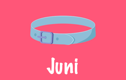 Picktogramm mit einem Gürtel und der Schrift "Juni"